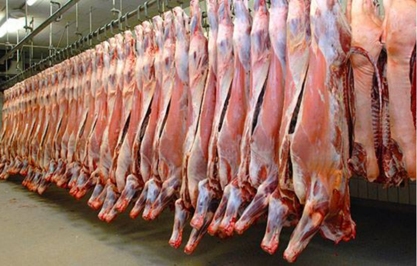 肉制品加工厂车间异味处理方案